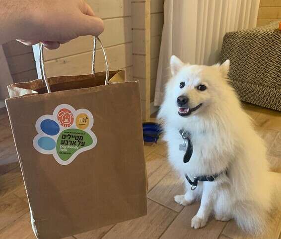 גוסט מתרגש במעמד קבלת הפנים החמימה במיוחד לכלבים